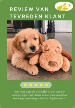 Woefie Hondenknuffel Met Hartslag - Puppyknuffel - Pluche- Puppy Speelgoed- Snuggle Puppy Xl- Knuffel Hond- Baby Knuffel- Knuffel Met Hartslag - Moederhond - Gratis E-Boek - Gratis Schroevendraaier -Honden Benodigdheden Verkoop 840x1200 6
