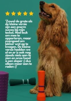 Furmey Zoomies - Honden Speelgoed - Hondenspeeltjes - Kauwbotten Hond - S Groen - 17 Cm -Honden Benodigdheden Verkoop 848x1200 1