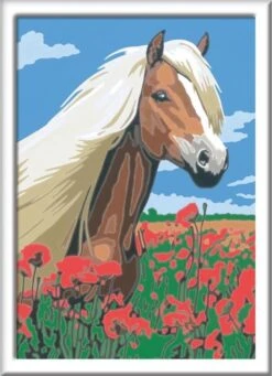 Ravensburger Schilder Op Nummer 3in1 Set Dieren -Honden Benodigdheden Verkoop 868x1200 5