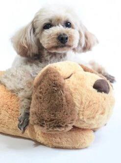 Merkloos Knuffel Met Hartslag Speciaal Voor Puppy's - Snuggle Heart Beat Puppy - Hartslagknuffel - Pluche 24 Merkloos Knuffel Met Hartslag Speciaal Voor Puppy's - Snuggle Heart Beat Puppy - Hartslagknuffel - Pluche -Honden Benodigdheden Verkoop 888x1200 2