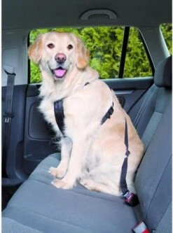 Trixie Auto-Tuig Zwart Maat - M -Honden Benodigdheden Verkoop 891x1200 5