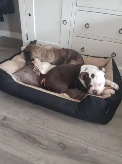 Hondenmand Cordura XXXL – Donkergrijs - 125 X 90 X 24 Cm -Honden Benodigdheden Verkoop 892x1200 1