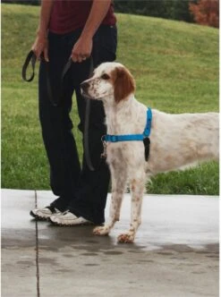 Petsafe Easy Walk® Deluxe Harness - Hondentuigje - Blauw - M - 1,8 M 18 Petsafe Easy Walk® Deluxe Harness - Hondentuigje - Blauw - M - 1,8 M -Honden Benodigdheden Verkoop 894x1200 6