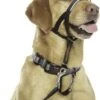 Halti Headcollar Nr. 3, Zwart. -Honden Benodigdheden Verkoop 895x1200 6