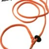 Abany Quality Design 1.80 Mtr Oranje - Jachtlijn - Dubbele Stop - Retrieverlijn - Gentle Leader - Lijn Leiband Met Halsband - Sliplijn Met Stop – Half Slip - Puppylijn - Vanglijn - Mantrailing - - 1R19019 -Honden Benodigdheden Verkoop 895x1200 7