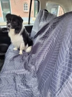 Honden Benodigdheden Verkoop -Honden Benodigdheden Verkoop 899x1200 24