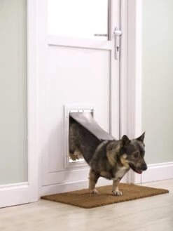 Petsafe 660 Hondenluik - Tot 100 Kg - Aluminium -Honden Benodigdheden Verkoop 900x1200 23