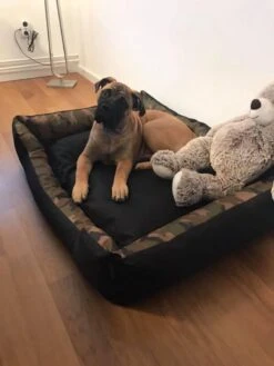 Hondenmand Cordura XXXL – Donkergrijs - 125 X 90 X 24 Cm -Honden Benodigdheden Verkoop 900x1200 43