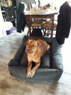 Hondenmand Cordura XXXL – Donkergrijs - 125 X 90 X 24 Cm -Honden Benodigdheden Verkoop 900x1200 44