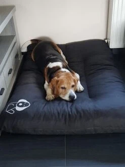 Hondenkussen XL - Donkergrijs - 60 X 90 X 12 -Honden Benodigdheden Verkoop 900x1200 45