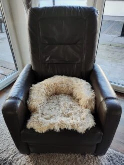 Kussen Voor Kat Of Kleine Hond | Fluffy Dierenkussen Van Pluche | Kat | Bank | Mand | Kattenmand | Kattendeken & Bankbeschermer Max. 15 Kg | Beige | Maat XS -Honden Benodigdheden Verkoop 900x1200 46