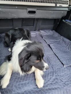 Luxe Hondendeken 200 X 150 Cm Auto Achterbank Kofferbak Vuilafstotend & Beschermend -Honden Benodigdheden Verkoop 900x1200 51