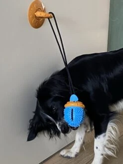 Merkloos Speelbal -Hondenspeelgoed Interactief - Hondenspeeltjes - Kauwspeelgoed Hond - 45 Cm -Honden Benodigdheden Verkoop 900x1200 55