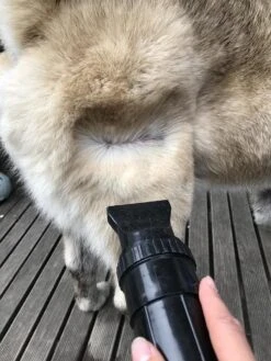 Waterblazer Hond - Hondendroger -Honden Benodigdheden Verkoop 900x1200 8