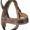 Hunter Harnas Norweger Racing - Hondentuig - Bruin/Cognac - M - 52-62 X 2.5 Cm 2 Hunter Harnas Norweger Racing - Hondentuig - Bruin/Cognac - M - 52-62 X 2.5 Cm -Honden Benodigdheden Verkoop 914x1200 4