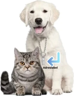 Honden Benodigdheden Verkoop -Honden Benodigdheden Verkoop 920x1200 2