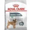 Royal Canin Ccn Dental Care Mini - Hondenvoer - 3 Kg -Honden Benodigdheden Verkoop 928x1200