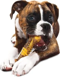 Nylabone Extreme Kauwbot Textuur Met Rund- En Kaassmaak -Honden Benodigdheden Verkoop 937x1200 6