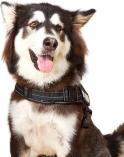 Woofy Hondentuig - Anti Trek - Hondenharnas - Reflecterend - Verstelbaar -Honden Benodigdheden Verkoop 943x1200