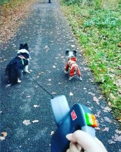 Wigzi Dual Doggie 2.0 Voor Twee Honden - Hondenriem - Grijs - 3m - <22 Kg (per Hond) -Honden Benodigdheden Verkoop 960x1200 6