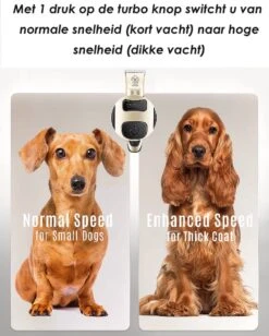 Joyage Professionele Hondentondeuse Voor Dikke Vacht – Honden Tondeuse & Hondentrimmer Tondeuse – Stille Tondeuse Katten & Honden Trimset Lang Haar – Trimmer Hond - Hondentondeuse Draadloos - Tondeuse Voor Honden - Tondeuse Hond Dikke Vacht -Honden Benodigdheden Verkoop 962x1200 3
