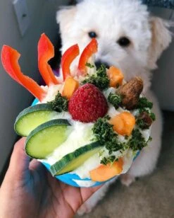 West Paw Toppl Zogoflex - Uitdagend En Sterk Speelgoed Voor Honden - Slowfeeder - Vulbaar Met Voer Of Snacks - Kleur: Groen, Maat: Large -Honden Benodigdheden Verkoop 962x1200 5