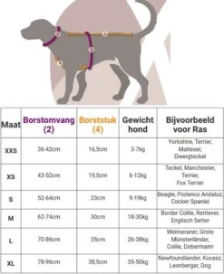 Anny.X Hondentuig Y Tuig Bruin Barnsteen Maat L Geschikt Voor Borstomvang 70-86cm -Honden Benodigdheden Verkoop 977x1200 2