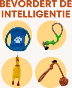 (Goedkoopste) Honden Speelgoed Set 15 Stuks Geschikt Voor Puppy's T/m Middelgrote Honden - Honden Kauw Speelgoed - 15 Stuks - Hondenspeeltjes - Intelligentie - Touw - Flostouw - Bijtring - Bal - Huisdieren Speelgoed 16 (Goedkoopste) Honden Speelgoed Set 15 Stuks Geschikt Voor Puppy's T/m Middelgrote Honden - Honden Kauw Speelgoed - 15 Stuks - Hondenspeeltjes - Intelligentie - Touw - Flostouw - Bijtring - Bal - Huisdieren Speelgoed -Honden Benodigdheden Verkoop 979x1200 3