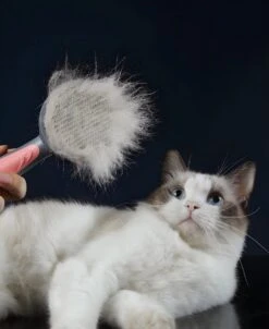 Pakeway T9 - Kattenborstel - Zelfreinigende Kattenkam - Roze - Massageborstel - 19,3 Cm -Honden Benodigdheden Verkoop 983x1200 1