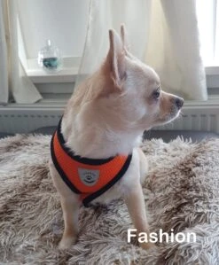 Luxyana® Hondentuigje - S - 28-32cm - Geschikt Voor Kleine Honden En Als Kattenharnas - Easy Step-in Hondentuigje Voor De Kleine Hond Of Kat - Inclusief Bijpassend Riempje - Zwart -Honden Benodigdheden Verkoop 992x1200 4