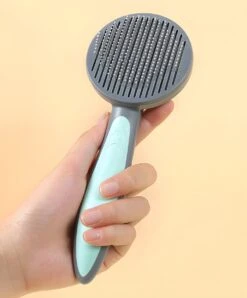 Pakeway T9 - Kattenborstel - Zelfreinigende Kattenkam - Groen - Massageborstel - 19,3 Cm -Honden Benodigdheden Verkoop 995x1200 2